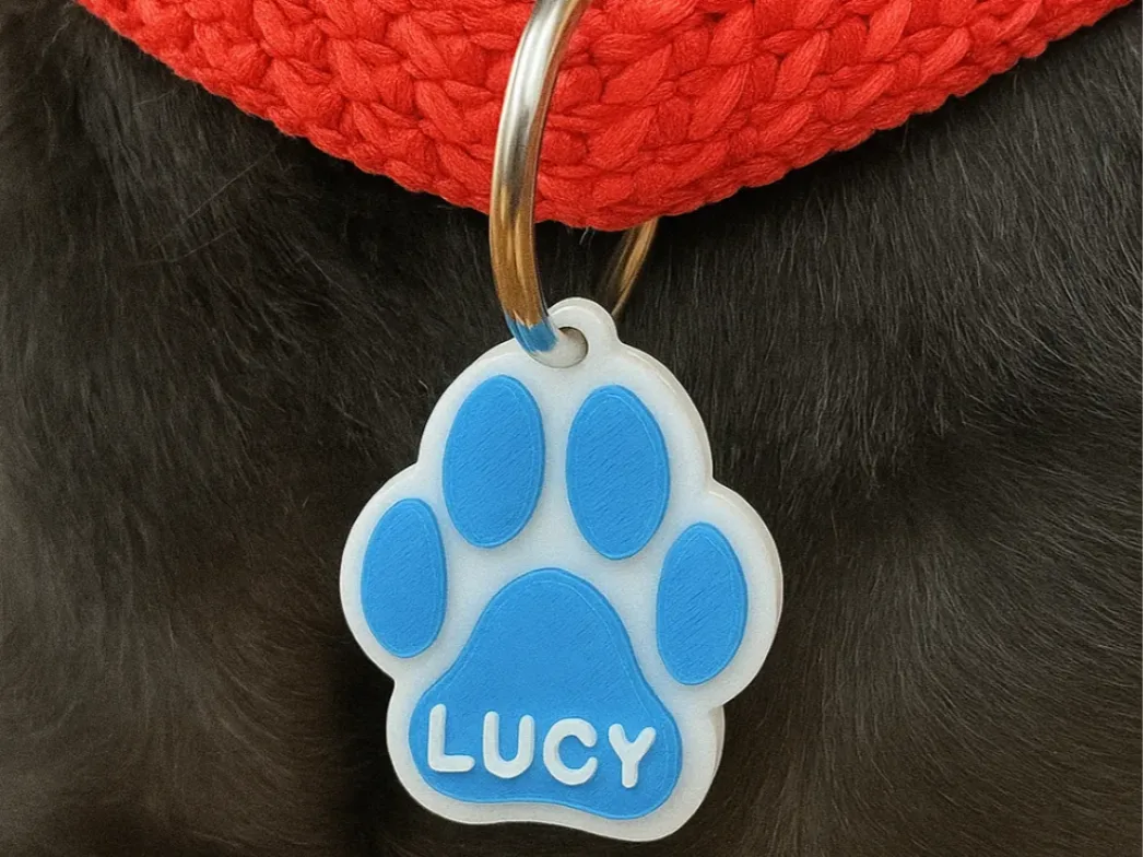 Collar para mascota